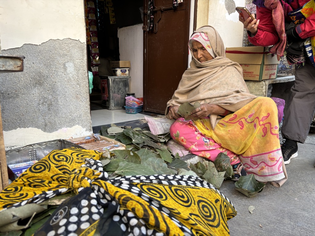 Udaipur Old City ウダイプル旧市街